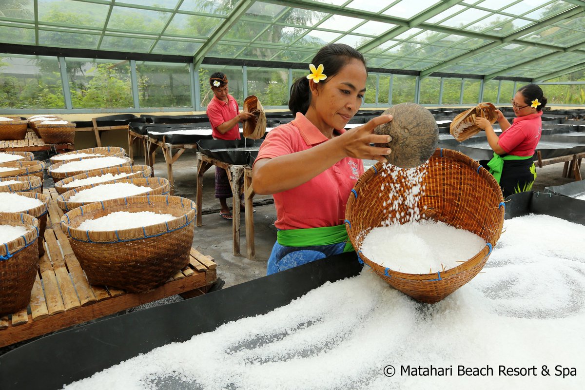 One of the many activities at Matahari Beach Resort & Spa:
Visit the salt factory
Big thanks to @Martin Sasse for this beautiful picture🌺 #SaturdayThoughts  #SaturdayMorning #weekendvibes #weekend  #sightseeing #activeholiday #bali #pemuteran #activities #5starholiday #fun