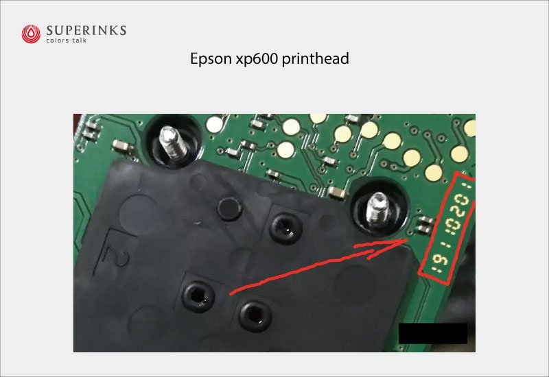 xp600 printhead specifications