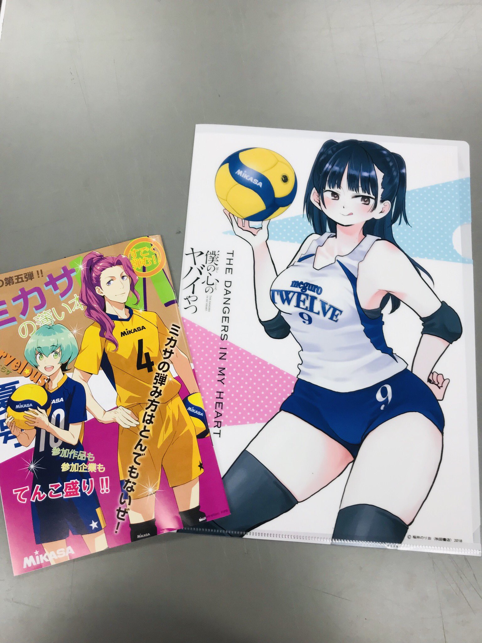 僕の心のヤバイやつ クリアファイルA