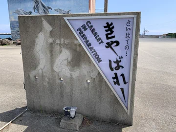 画像 / Picture