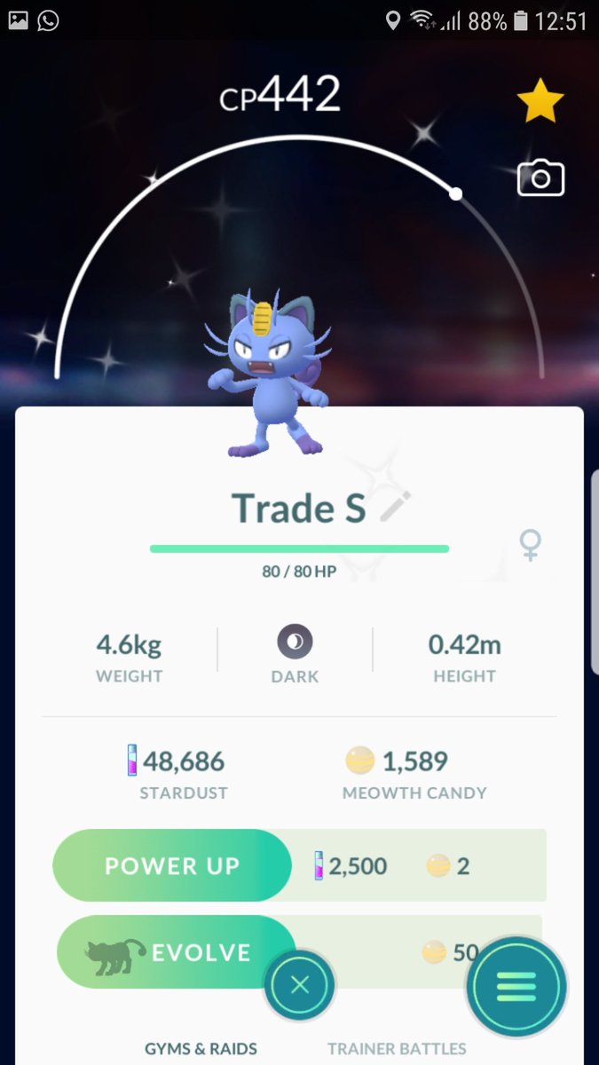 色違いアローラニャース