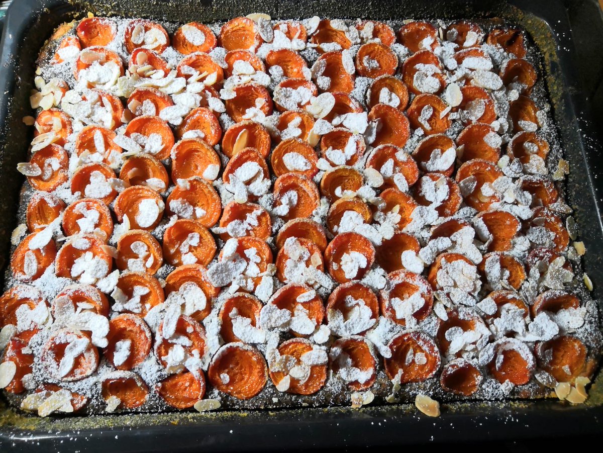 Eddie (@eddie63799255) on Twitter photo 