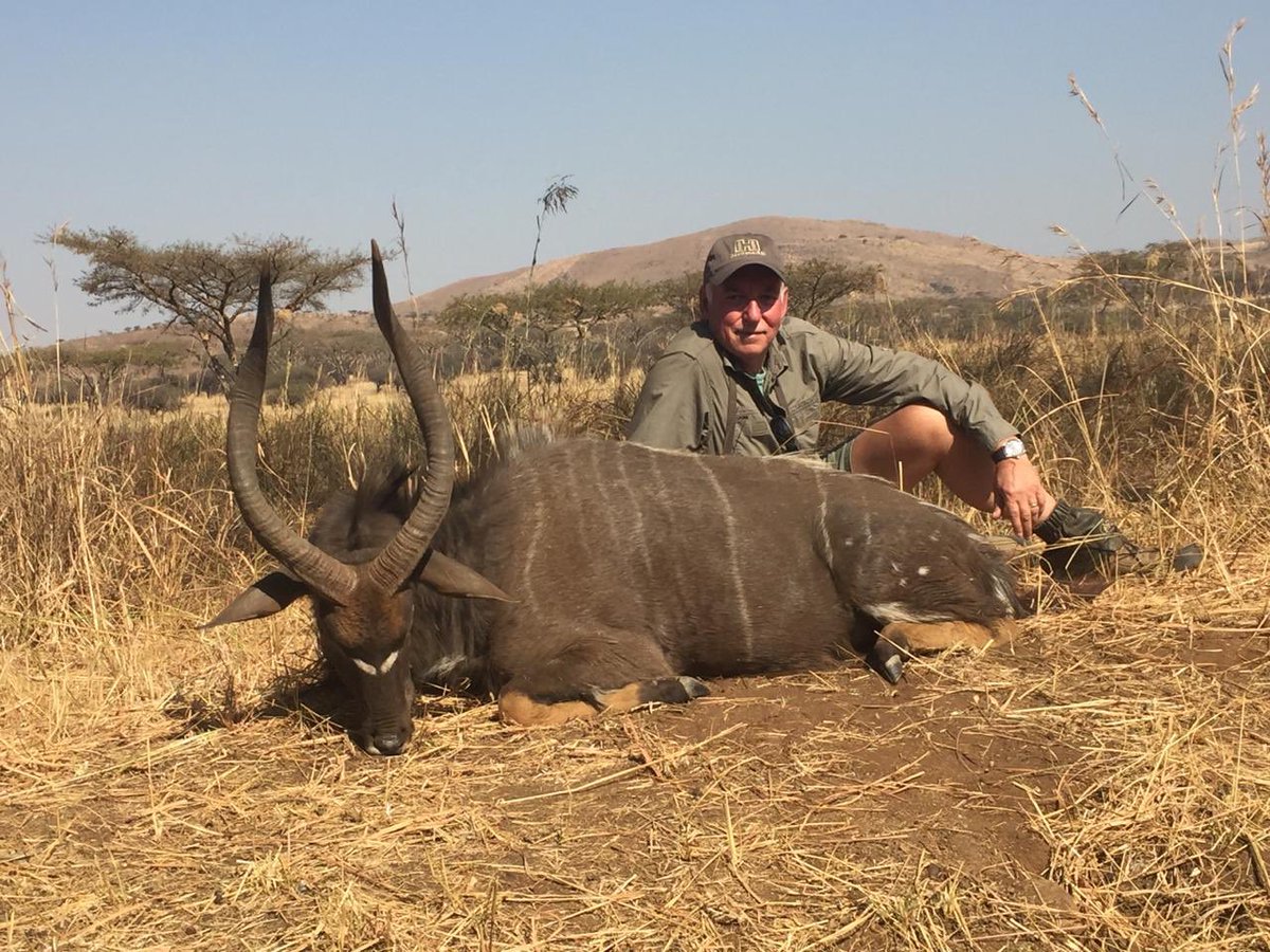 OutdoorBailey's tweet photo. Nyala, the prince of Africa’s antelope with Izak and the fine folks of WOW Africa in the Natal. #hunting #SouthAfrica https://t.co/vWuJHPanKp
