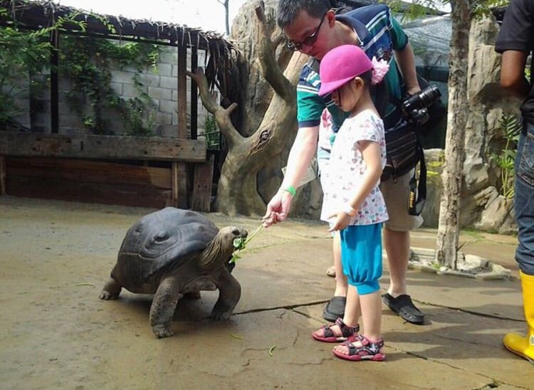 worknco's tweet photo. 10 tempat menarik di sekitar KL &amp; Selangor kalau dah bosan ke shopping mall:

1) KL Bird Park
2) Aquaria KLCC
3) Farm In The City Seri Kembangan
4) Petrosains 
5) Putrajaya Lake 
6) Zoo Negara 
7) Skytrex Shah Alam 
8) Bukit Ampang 
9) i-City Shah Alam
10) Selfie Museum KL https://t.co/XndNtIYuLw