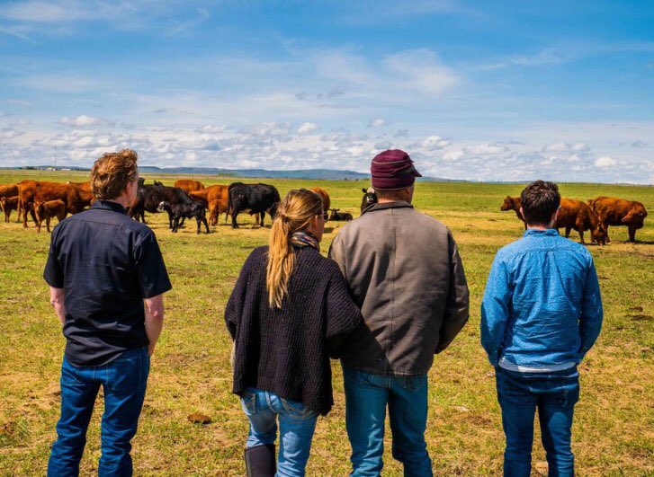 Hotel Arts tweet media