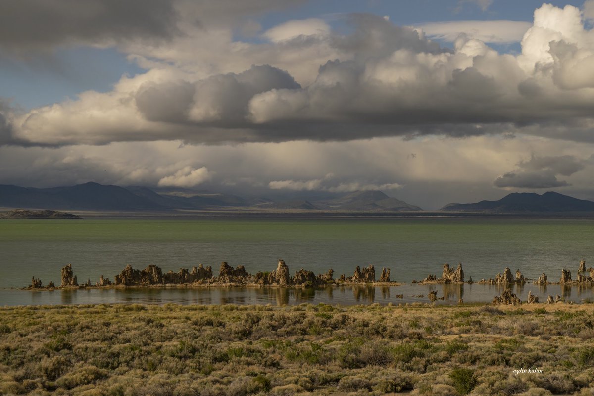 Mono Lake is a saline soda lake in Mono County, California @NikonUSA @nikonownermag @NatlParkService @MonoLakeCmte #monolake #nikon #California #photography #landscape #VIEWS #clouds #stone #LAKE #monocounty #seagull