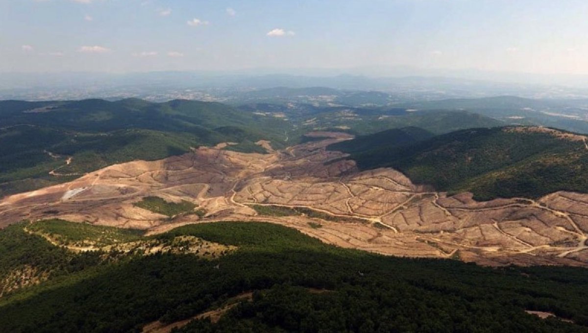 Şerefsizlik yasaklansın!