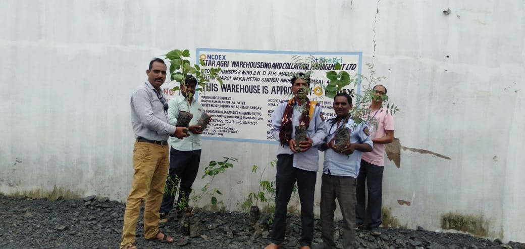StarAgriGroup's tweet photo. We care for the  #Environment, that's why we take steps ahead of future to #Protect It.

Star Van Utsav Update: Plantation drive at our  Warehouse in Kadi and Harij, Gujarat.

#VanMahotsav #SaveTrees #StarAgri #StarVanUtsav2019 #Letsplantthefuture https://t.co/iYjiKL4xs5