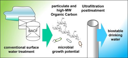 download plant biopolymer science