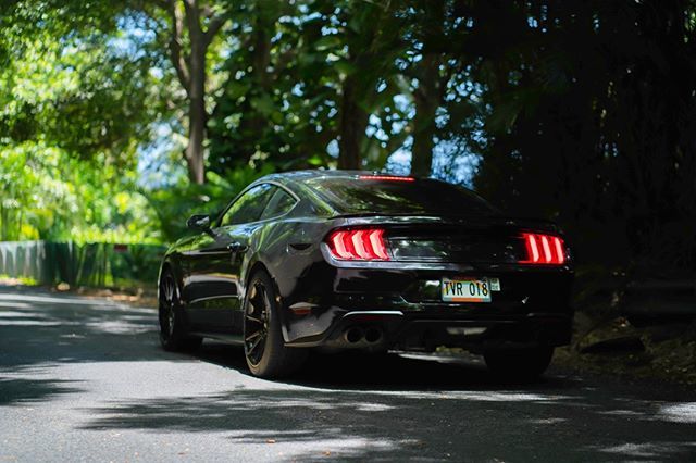 Happy Aloha Friday everyone! Reminding everyone to drive safely over the rainy forecast weekend~

#Mustang #MustangGT #Aloha #Friday #Autosource #AutosourceHawaii #Honolulu #Hawaii #Oahu #Paradise #PreOwned ift.tt/2MAgeQo