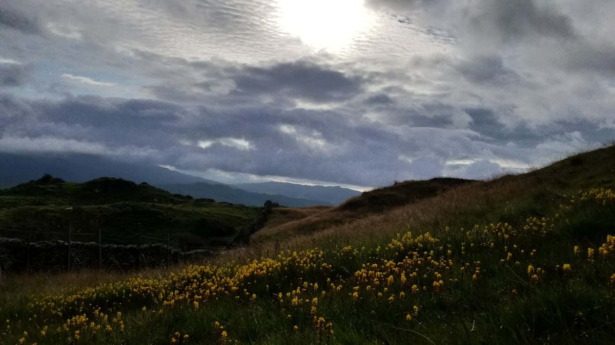 theldwalker's tweet photo. On Lingmoor Fell
Taken on a recent #LingmoorFell & #CathedralCavern #GuidedWalk from #Elterwater
More info: https://t.co/var5uOFI97
#LakeDistrict #Cumbria #Hiking #Walking https://t.co/Oygn2ez8de
