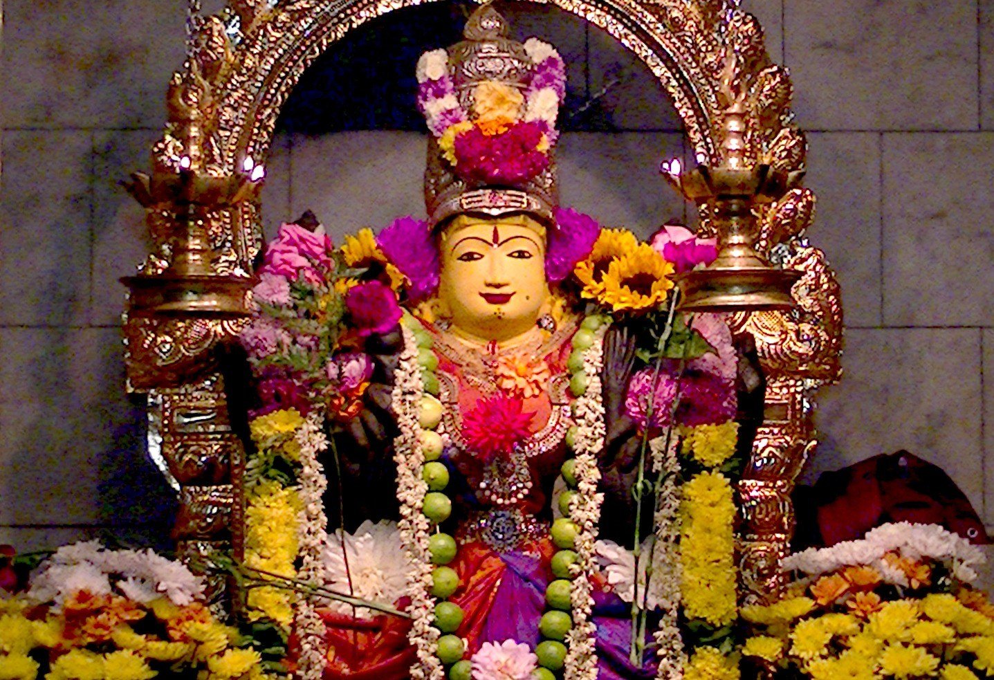 Vihara Darshani on Twitter: 
