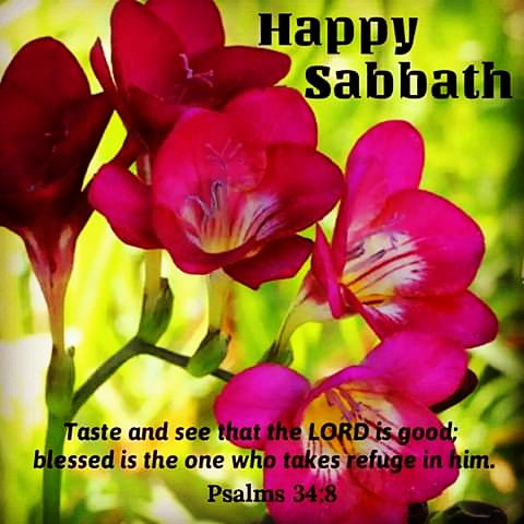 Oak Glades SDA on Twitter: "Happy Sabbath. Have a blessed day ...