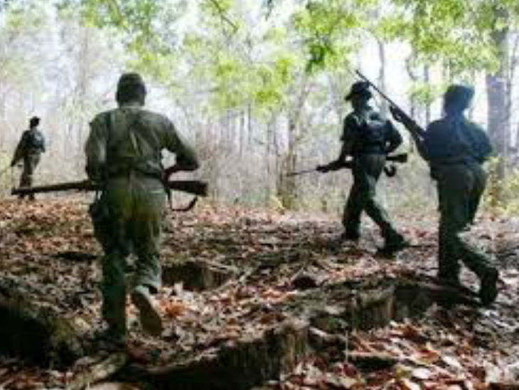 छत्तीसगढ़  /महाराष्ट्र सीमा पर जवानों के साथ मुठभेड़ में 7 नक्सली मारे गए
bhaskar.com/national/news/… #Naxali #Maharashtra  #NaxalitesKilled #SecurityForces