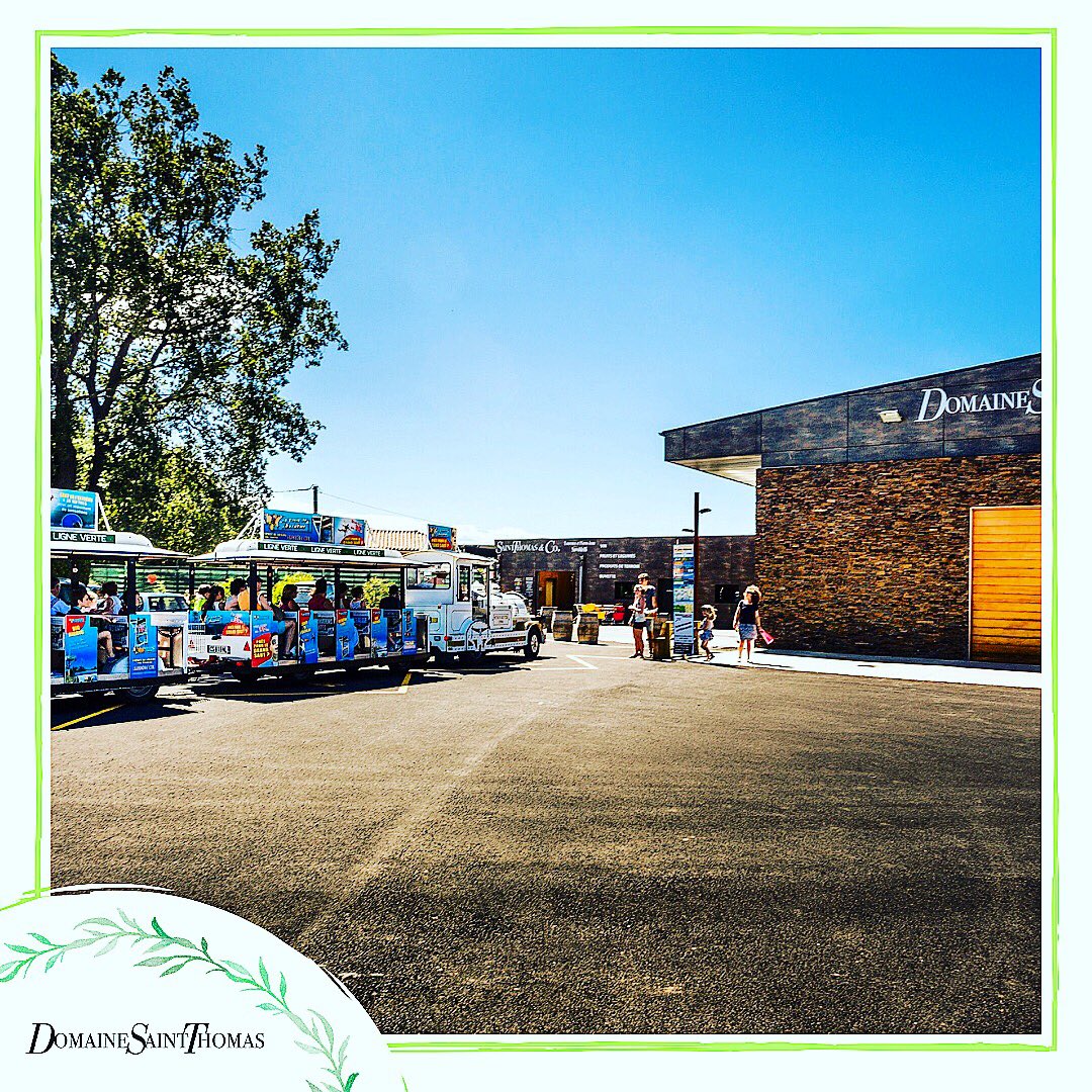 DomaineStThomas's tweet photo. Vous voulez venir nous voir ? 🤔Aucun problème 😁 !!! Le TrainBus fait un arrêt chez nous et nous sommes ouvert tous les jours , même le Jeudi 15 Août 📆!!!!!  #event #casinodesvins 
. https://t.co/fOHROho77W