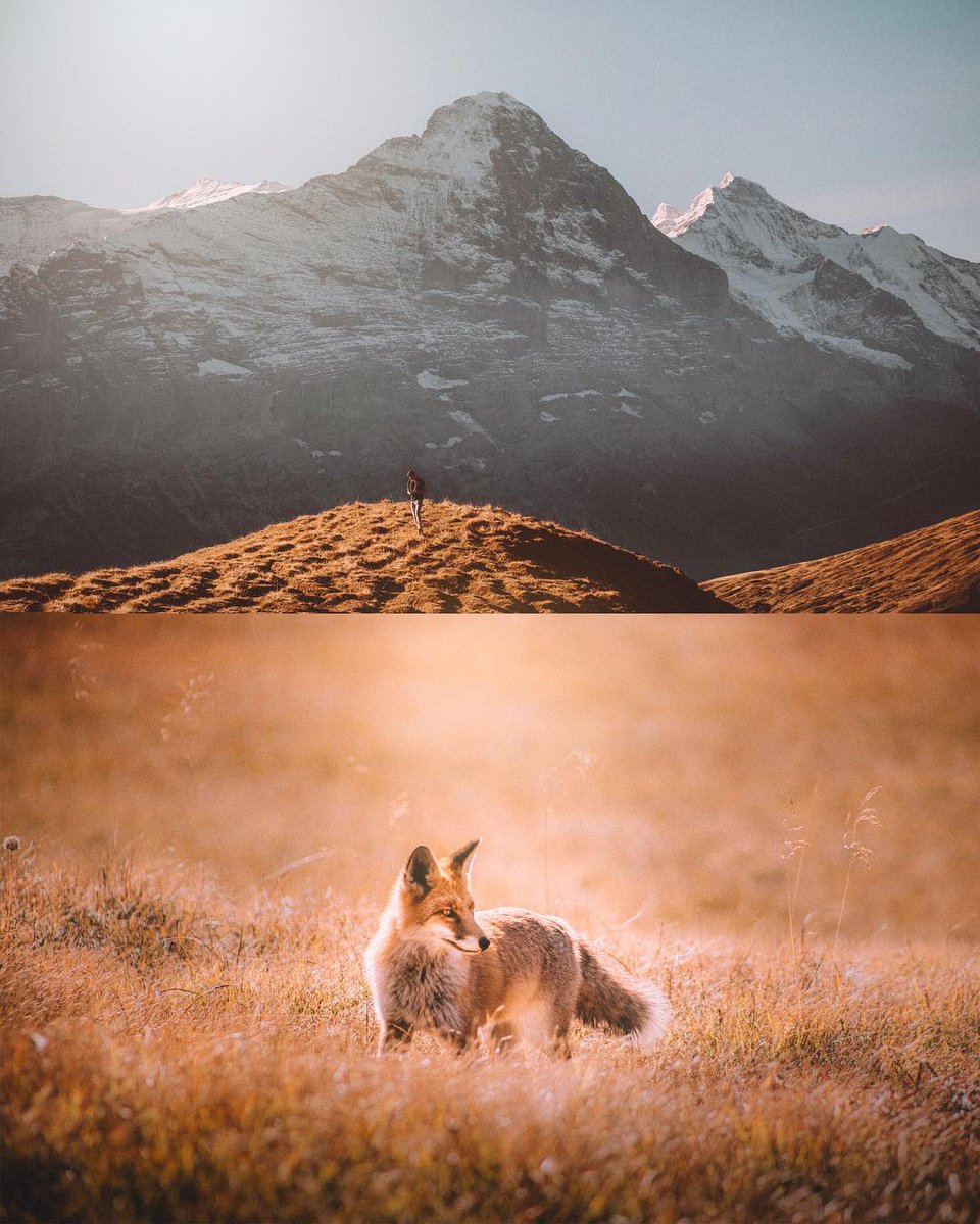 BonfirePictures's tweet photo. The nature of Switzerland
Photos shot by iwwm (@wahyumahendraa)
IG: https://t.co/G8lIajVp3L
#life https://t.co/zqIozFgNE4