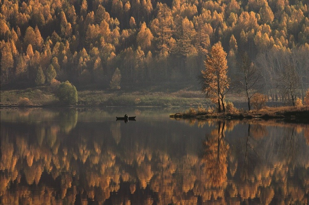 Челябинская область tweet media