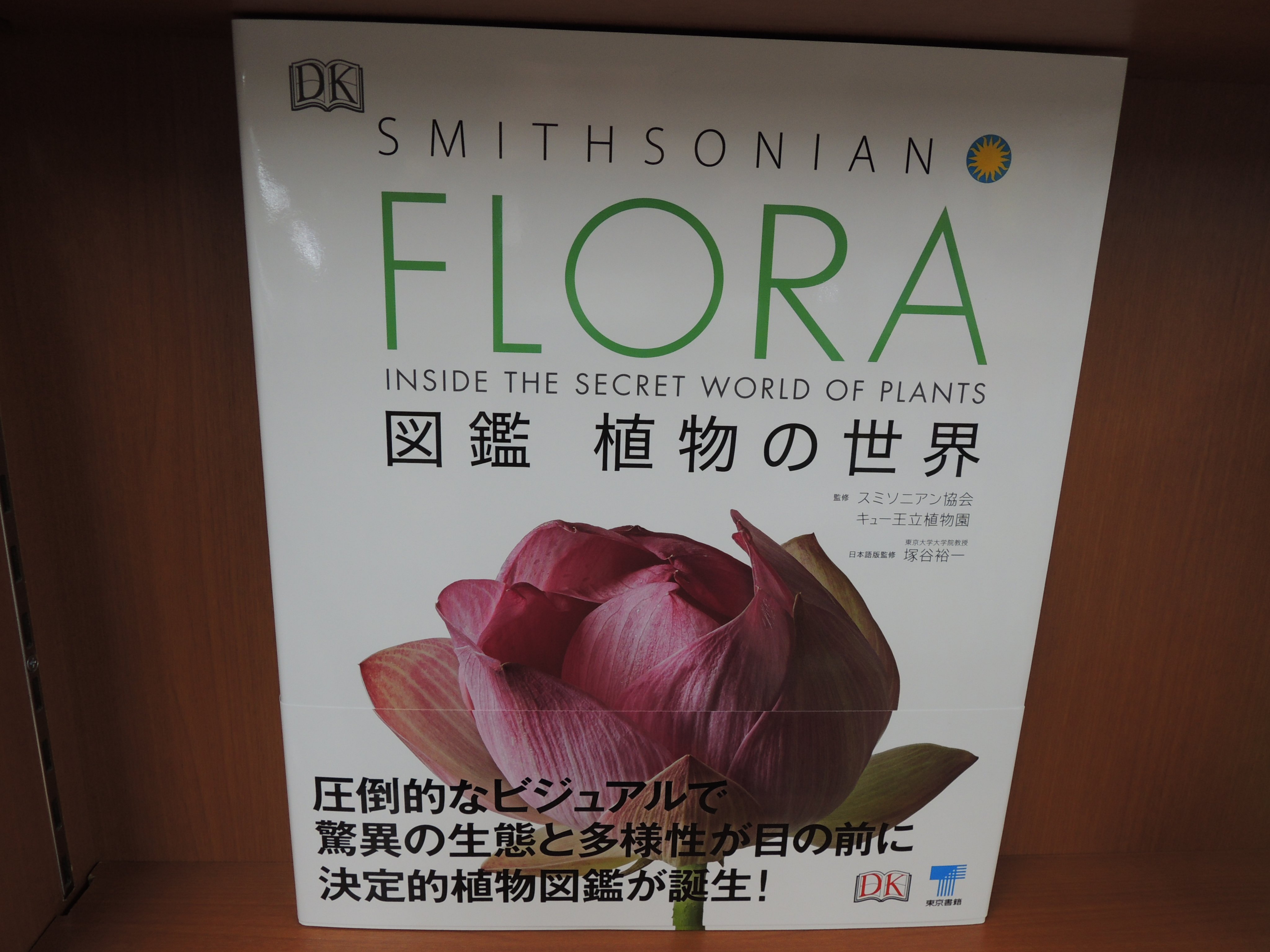 精文館書店 本店3ｆ スミソニアン協会 キュー王立植物園 Flora 図鑑 植物の世界 東京書籍 入荷しました 迫力のカラー写真や博物画を豊富に使い 植物の姿の多様性やその意味を視覚的に解説 植物の分類の代表的な科についてもdna情報をもとに説明
