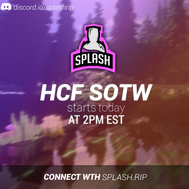 Splash Network tweet media