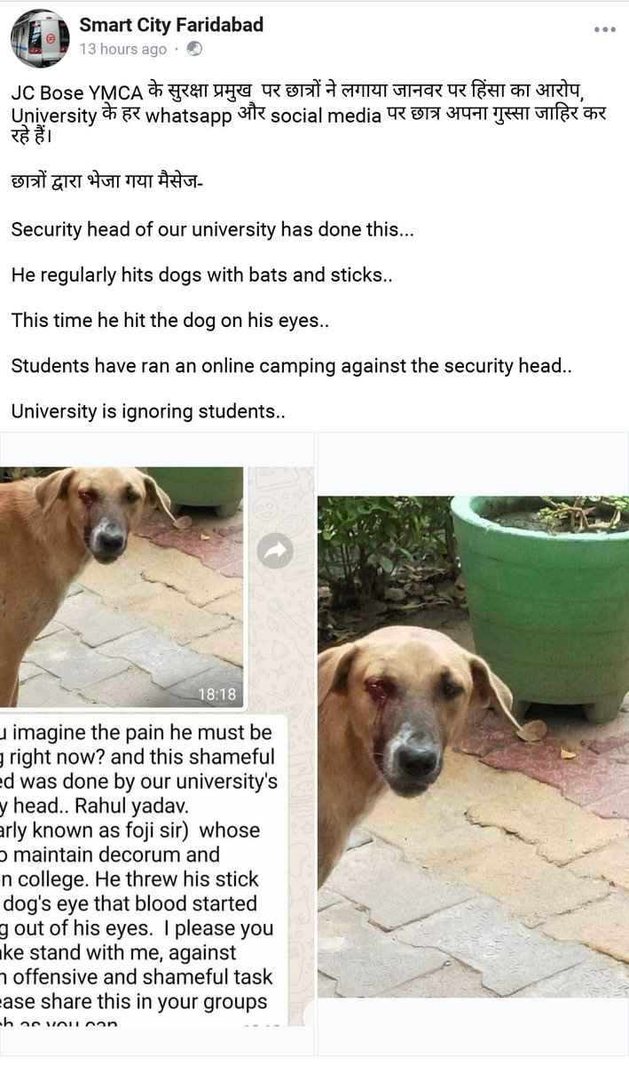 200 Funny Instagram Captions and Silly Captions for Selfies, image size:709x1200