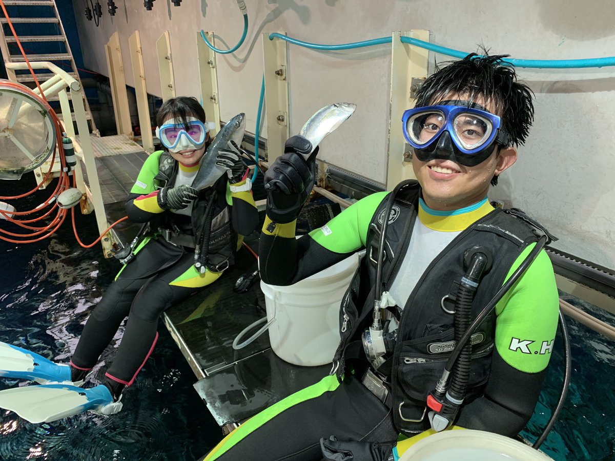 マリンワールド海の中道 公式 イワシタイフーンが始まります 本日はsダイバー Hダイバー 若手コンビが頑張りますよ 𓆝𓆟𓆜𓆞 手にしているのはシロワニの餌です イワシタイフーン 今日のダイバー