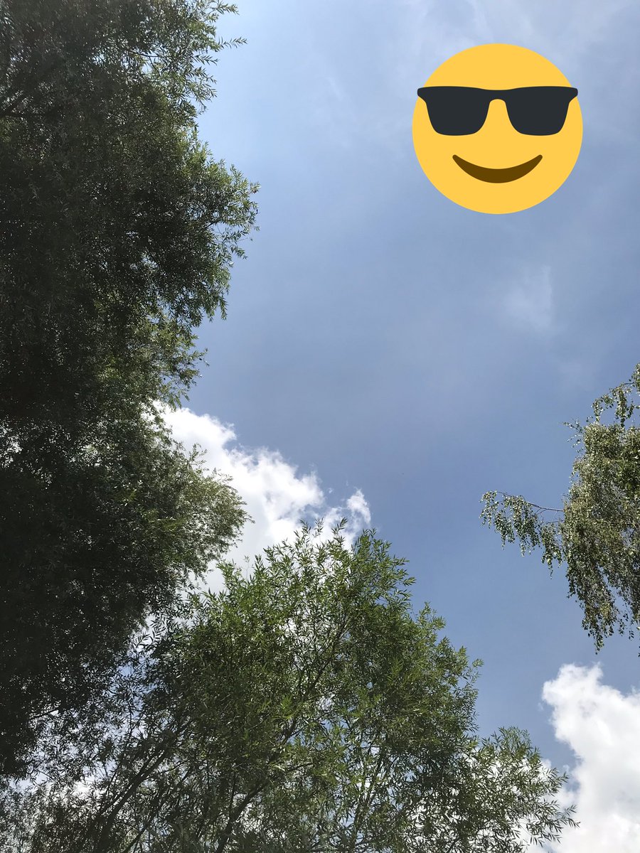 le_domo's tweet photo. Ahhh 1ère fois en quasi 10 ans que je me mets torse nu.
J’en suis à 72 kg au lieu de 85 mais tant pis 😎
Et salut à tous 😘💚 https://t.co/NDrEgnOBl5