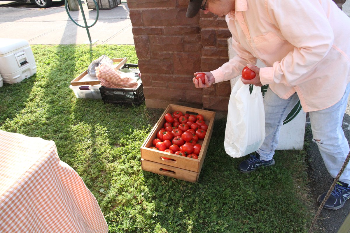 The <a href="/WysmykalFarm/">Wysmykal Farm</a> Wysmykal tomatoes today are a work of art!!