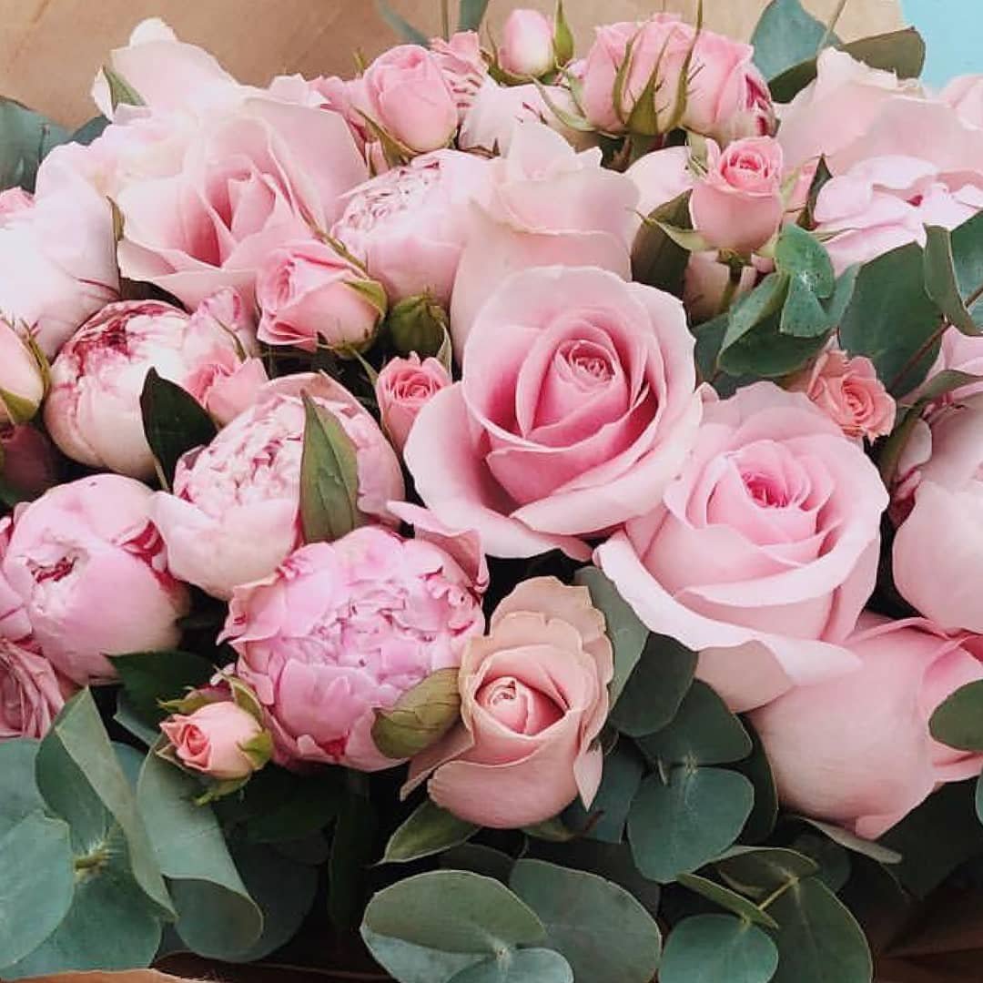 cdlucky13's tweet photo. House full of pretty flowers & love messages a beautiful goodbye from work yesterday. xx #sweetgoodbyes #NewJobs #nextstepinjourney #overwhelmed 💙🙌🏻 https://t.co/WoeEKaux8Q