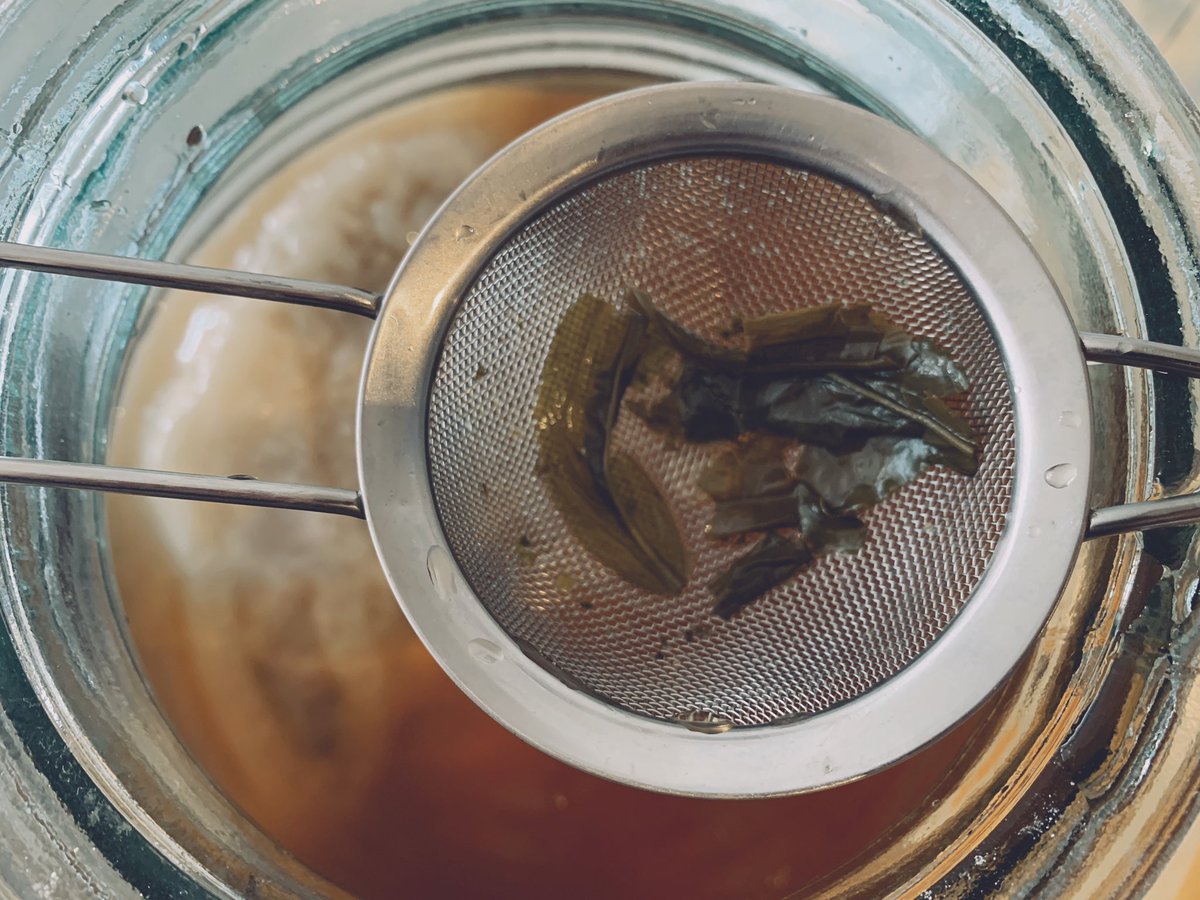 geocafeUK's tweet photo. Brewing own #Kombucha is a great fun. It’s fizzy & sweetish yet healthy & refreshing. By brewing own, it’s also enviro friendlier.
At our cafe we use #organic green #GeorgianTea imported by @suneliuk & the flavours of this #Manchurian drink is inviting & well rounded. 🌞#RdgUK https://t.co/sLWxboJuyC