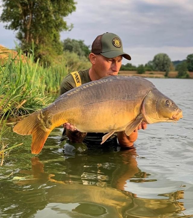 A lovely clean mirror for @rousseljb repping the bear trucker cap once again, top angling as always mate!⁠
⁠
Click the link in our bio to visit our website!⁠
⁠
#navitasangling #navitasapparel #navitas #nvts #carp #fishing #angling #apparel #outfitters #fb