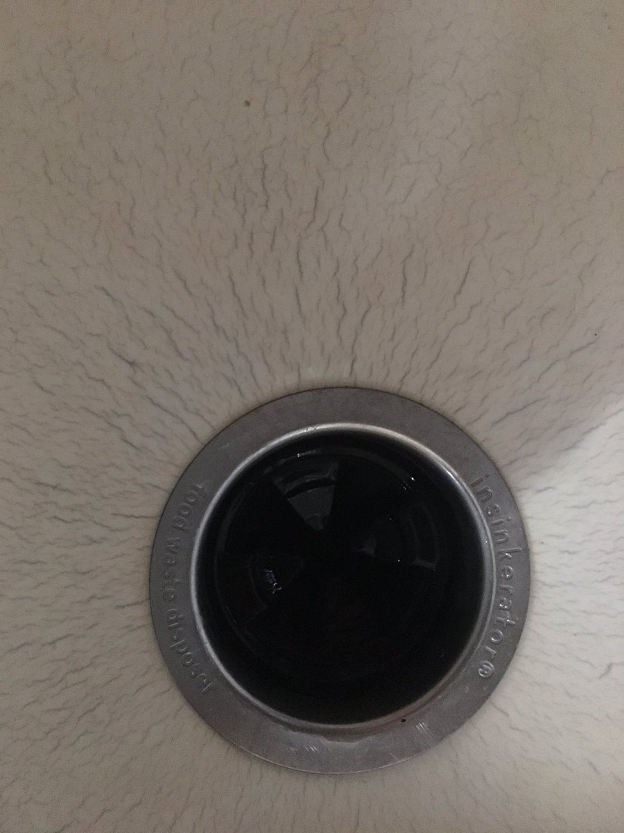 amber derek tweet media