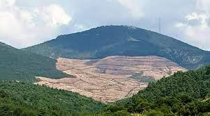 angryhumanss's tweet photo. #IdaMountains Canadian #AlamosGold is cleaning mythological Ida Mountains in Turkey...Zeus would throw a thunderbolt at you! But even he cannot deal with a gold-lusted corrupted firm and worse Turkish officials!
https://t.co/ACgJPOnyva https://t.co/au4LWzWpKj