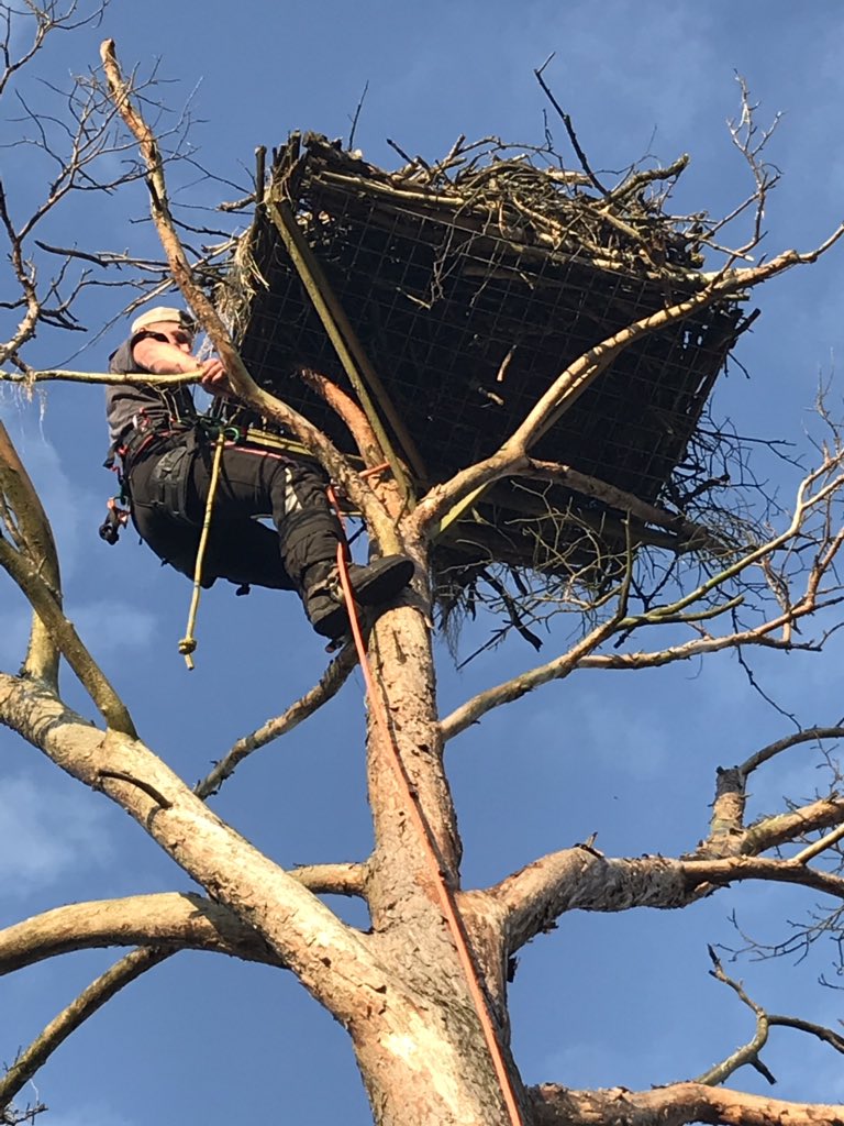 Ben Thomas tweet media