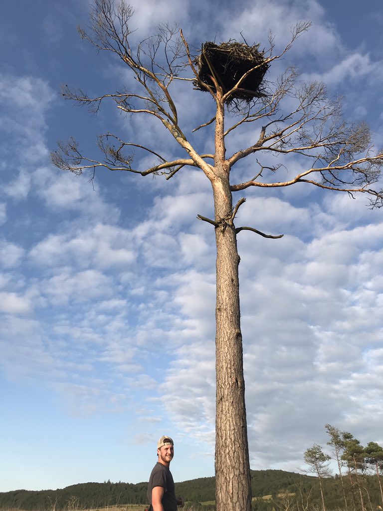 Ben Thomas tweet media