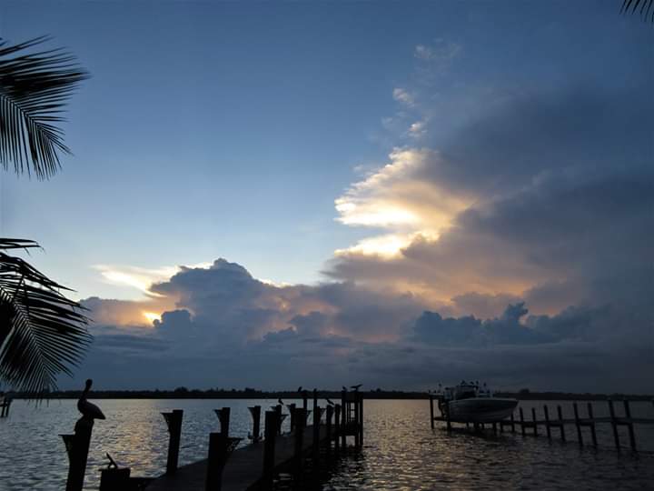 VivaSarasota's tweet photo. #SiestaKeySunrises #ThanksCharlie #VivaSarasota @wfla @SNNTV @mysuncoast #WFLA #SNN #MySuncoast #LoveSrq #LoveFL #LoveSK #SharetheLoveSrq #SharetheLoveSK #Sarasota #SarasotaFlorida #Srq #SK #SiestaKey #SiestaKeyBeach #Live941 #4Srq #4Sarasota #GoodMorningSrq #GoodMorningSunshine https://t.co/vs8NPNqBZM