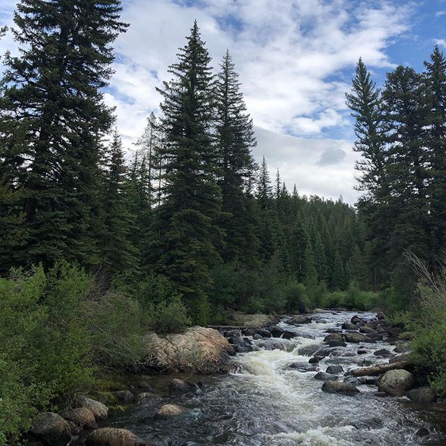 CampgroundRecon's tweet photo. #coloradocamping #campingcolorado #campingincolorado #fryingpanriver #explorecolorado #exploreco #visitcolorado #coloradotraveltips #coloradomountains https://t.co/WQQ0MSiJAm https://t.co/RHwy8vUeM3