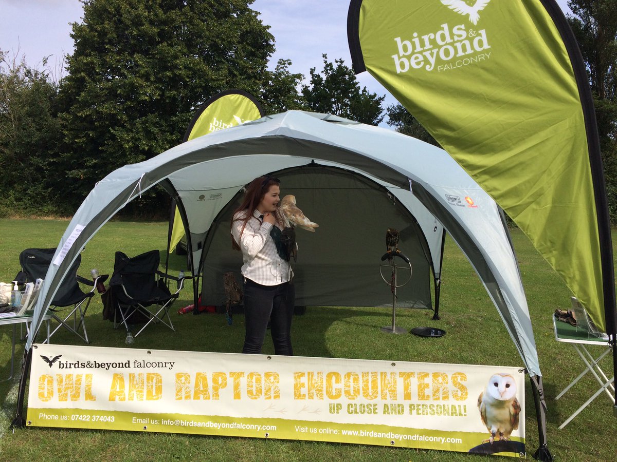 birdsandbeyond's tweet photo. Teagan day in aid of HCPT 🦅🦉 https://t.co/OtBxIFB2rC