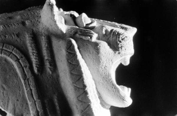 rm ╎ hiatus tweet media