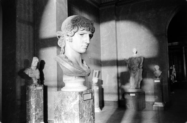 rm ╎ hiatus tweet media