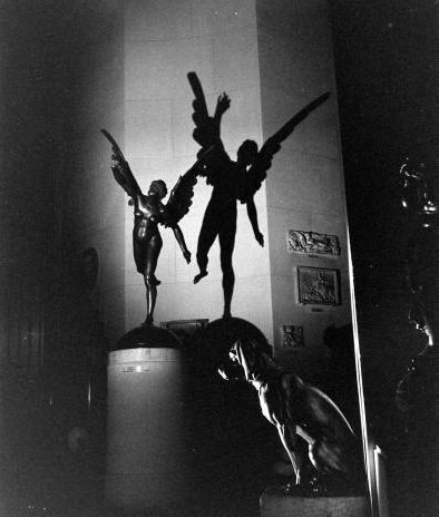 rm ╎ hiatus tweet media