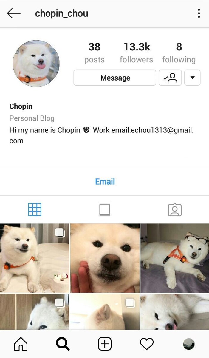 up2me___'s tweet photo. นี่เซียวปัง หรือชอแป็ง หรือchopin หรือ肖邦 จะอะไรก็แล้วแต่ นางเป็นน้องหมาของอิริค อิริคนางรักกว่าแฟนอีกมั้ง ตอนคอนเสิร์ตขอบคุณหมาแต่ลืมแฟนอะ คิดดูละกัน เหอๆ https://t.co/t7b0top2ud