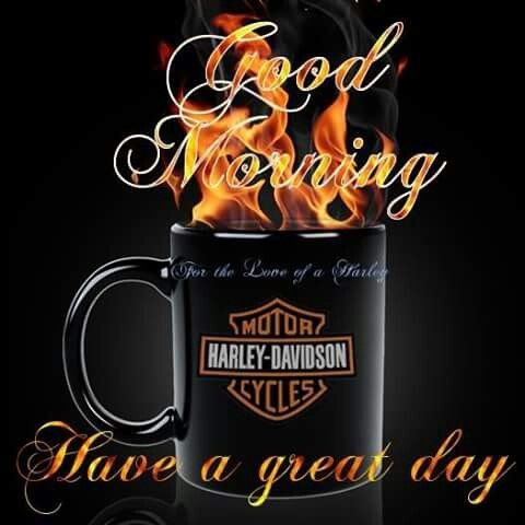 DKCustom1's tweet photo. Good Morning Bikers! Happy Saturday!
#goodmorning #bikers #riders #saturday #coffeetime #ridingtime #justride #harleydavidson #motorcycles #bikerlife #harleylife #lifebehindbars #riding #motorcycle #time #rideordie https://t.co/YxcRqPSqso