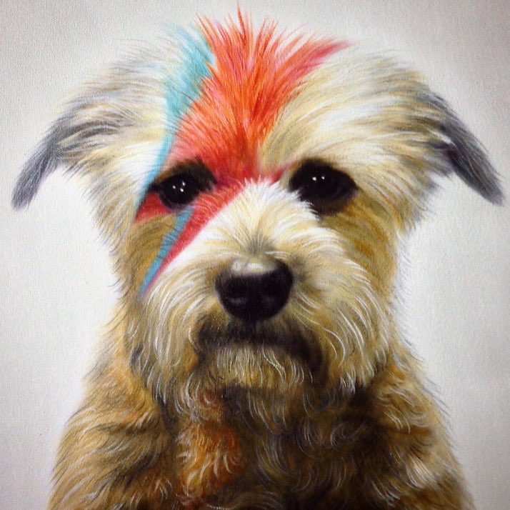 DavidBowieColl's tweet photo. David Bow Wowie https://t.co/7WE3xj6gEl