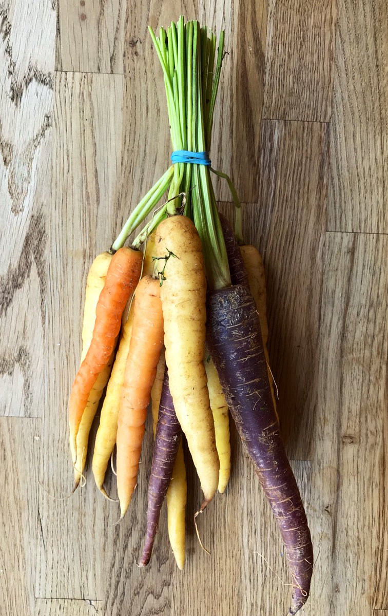 goodfoodstores's tweet image. Snazzy rainbow 🌈 carrots 🥕 ! 
Anyone got a good caption for what Vicky’s thinking? 
#ImStumped #RunOutOfPuns
