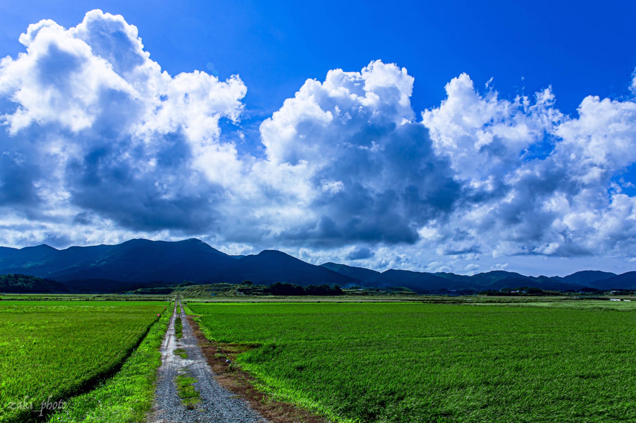 Twitter 上的 永崎 凛空 ざきphoto 写真小説 夏群青の空 高層ビルも 人混みも 満員電車もいらないから 田舎で雲と空を眺めて夏を過ごしたいと思った T Co Djabmon75w Twitter