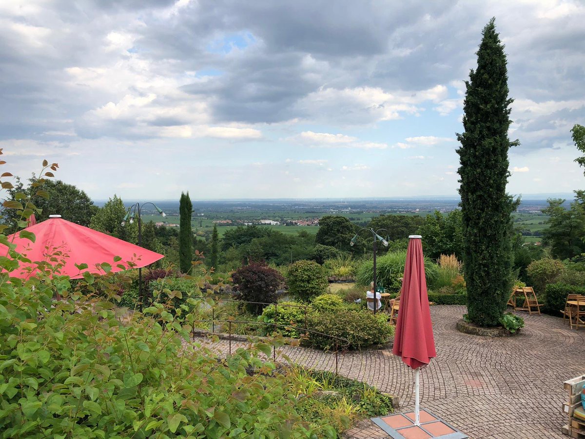 About last night! #Complero's co-founder Steffen Schneider had inspiring company: Minister of Economic Affairs <a href="/Wissing/">Volker Wissing</a> and other founders jointly discussed how to even further improve startup culture in Rhineland Palatinate! Thanks for having us🙌#StartupLife #InnovationinAI