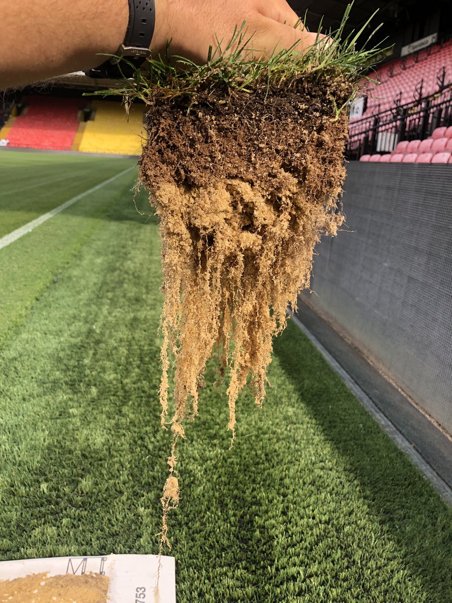 tingers_123's tweet photo. I asked for a piece of turf to be sent from the training ground to the stadium. What I received from a pitch that’s 5 weeks old was fairly impressive 😳 @AdvanceGrass fertiliser and @rigbytaylor r140 and r14 seed https://t.co/kPB1jm31gJ