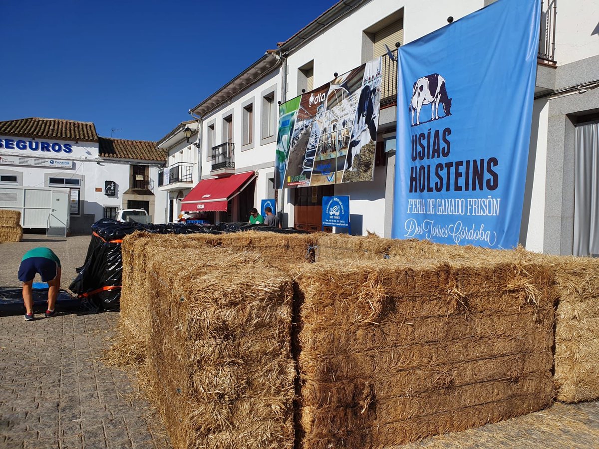 🐣🎲👏🏻 
Es de bien nacidos ser agradecidos, como no agradecerle a nuestros amigos de <a href="/UsiasHolsteins/">Usías Holsteins</a> la gran labor que hacen para que esta noche os refresquéis jugando en las piscinas que nos están preparando. 
Un fortísimo aplauso. 👏🏻👏🏻👏🏻👏🏻👏🏻👏🏻
¡Usías, sois muy grandes!
