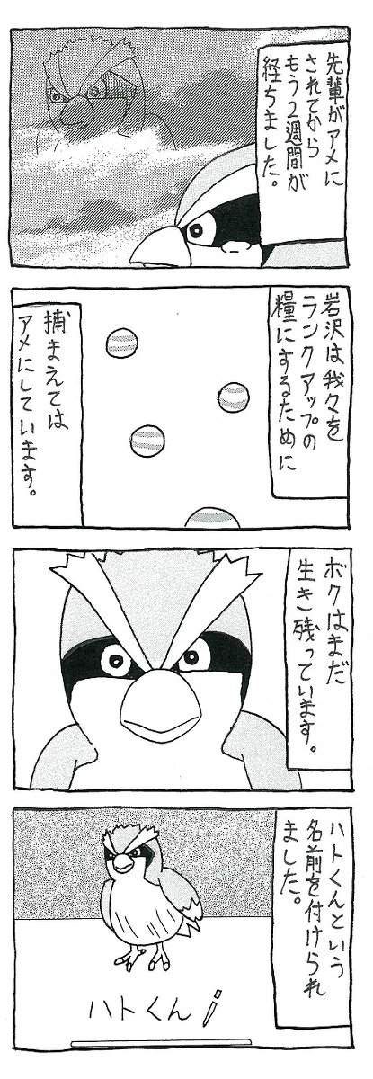 ポケモンgoが配信された頃に描いたポッポのマンガ(1/2) 