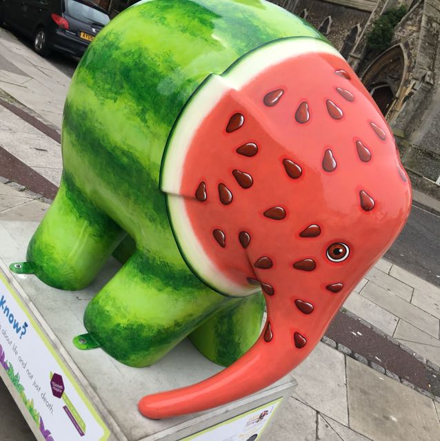 ElmerSuffolk19's tweet image. Today is a day to celebrate @ElephantPip, our watermelon Elmer, as it&apos;s #NationalWatermelonDay 🍉! You can find Pip on Barrack Corner Norwich Rd, so make sure to pay her a visit today and take a picture with her to celebrate 🍉